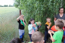 img_9998-kopiowanie-jpg1721239137